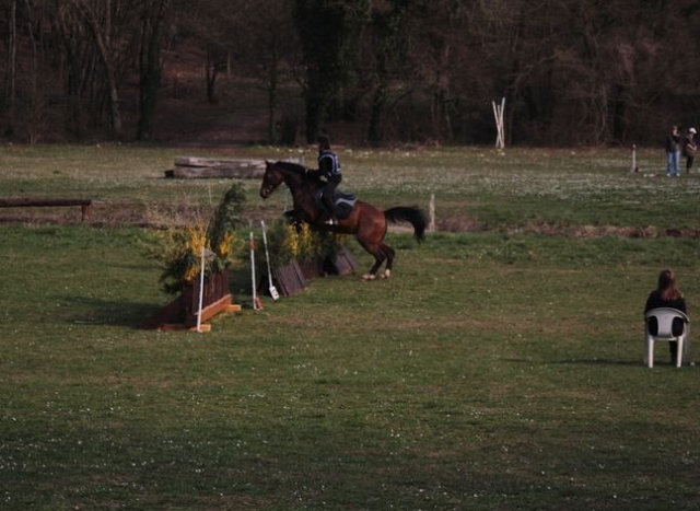 Seance de trec avec le centre